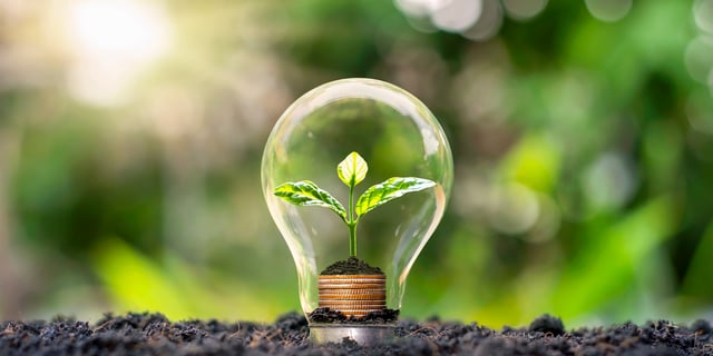 The ROI of Sustainability