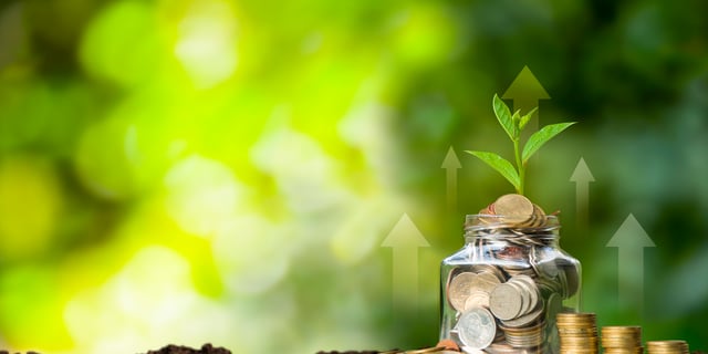 Determining Sustainability ROI: A Growing Corporate Priority