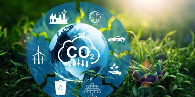 A Growing Reliance: How European Companies Lean on Carbon Offsets