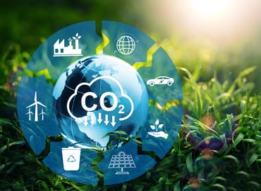 A Growing Reliance: How European Companies Lean on Carbon Offsets