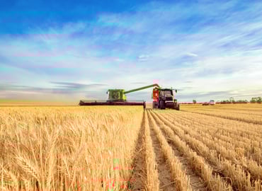 Explainer: Department of Agriculture Funding and Opportunities for Reform