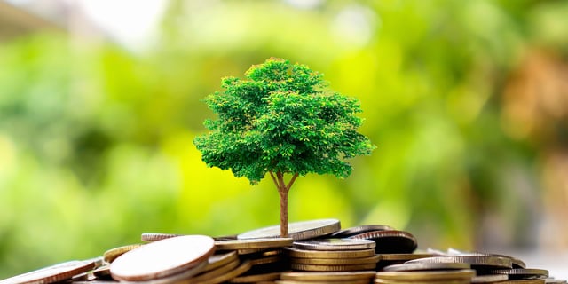Mobilizing Private Capital for Climate Action