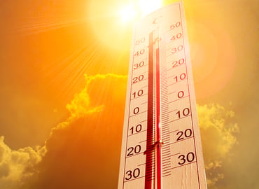 The Heat Is On! How Extreme Heat Is Reshaping Business Risk