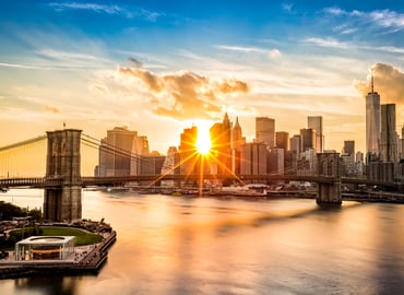 Renewing Cities: NYC as a Model