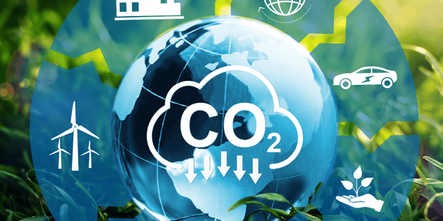 The Role of Carbon Offsets in the Net-Zero Journey