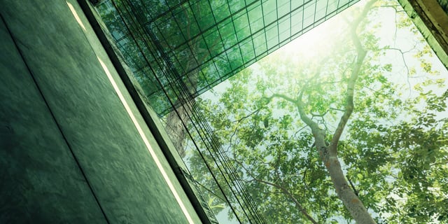 EU ESG Regulatory Outlook Q2 2025: Reform in Focus—Balancing Burdens & Progress