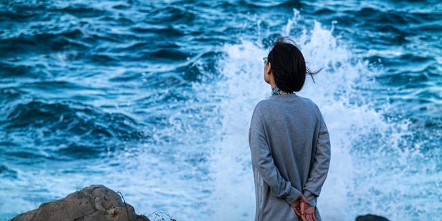 Steady Hands in Stormy Seas: Human Capital as the Anchor of Business Resilience