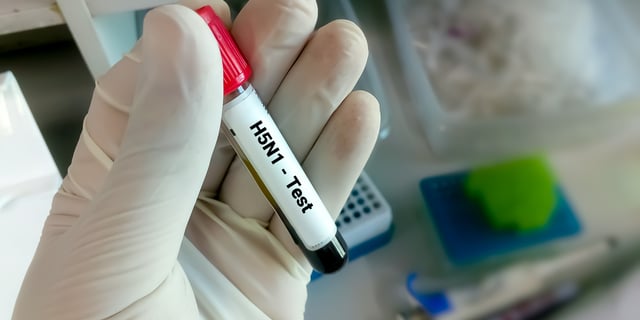 Bird Flu: A New Strategy to Mitigate the Spread of H5N1