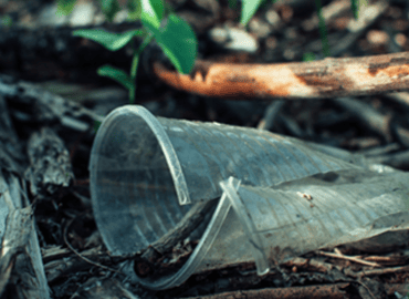 Bioplastics: Revolution or False Hope?