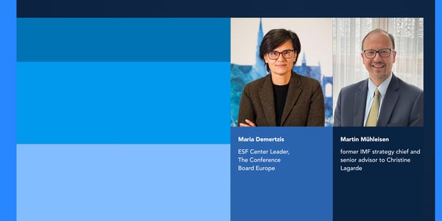 Europe in Flux: Martin Mühleisen on International Currencies