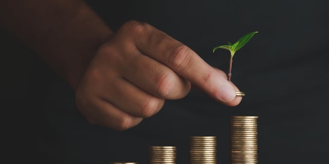 Sustainable Finance Is Growing Up