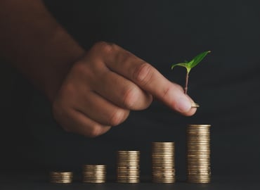Sustainable Finance Is Growing Up
