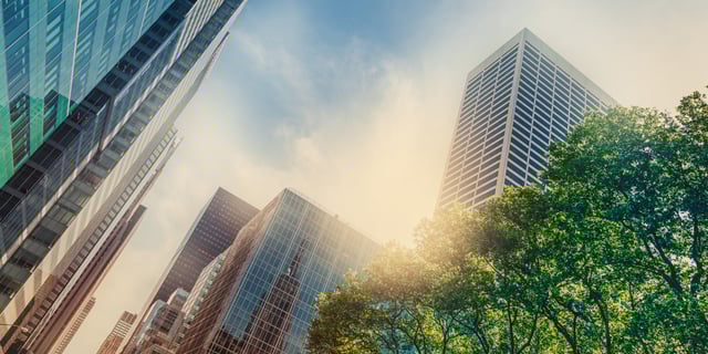 Board Practices in 2025: Evolving Oversight and Composition