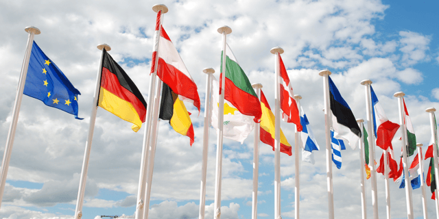 Europe in Flux