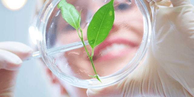 Environmental Factors Should Be Considered by the Whole Board