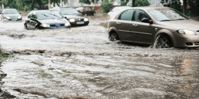 Policy Alert: State and Local Disaster Preparedness
