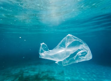 Global Plastics Treaty: Implications for Business