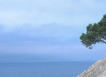 From Exhaustion to Empowerment: Nine Ways to Address Employee Burnout