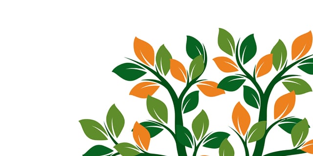 DNA of Engagement: How Organizations Can Foster Employee Ownership of Engagement