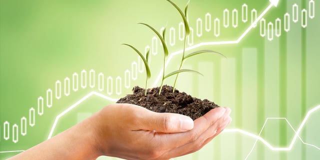 Carbon Pricing