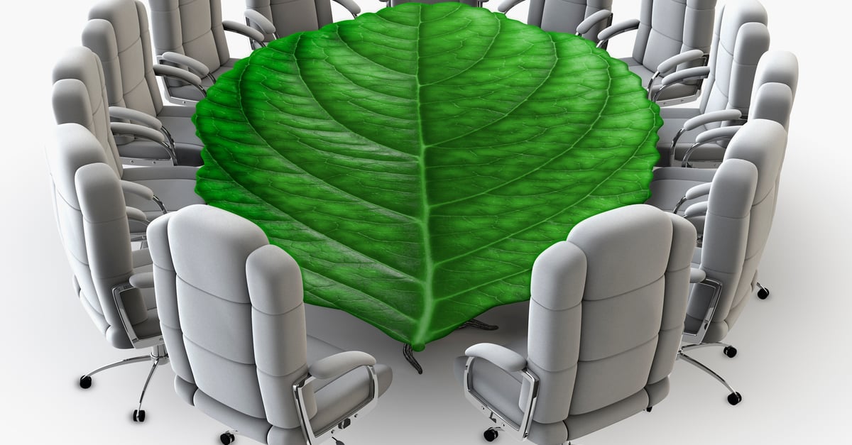 The Roles of the Board in the Era of ESG and Stakeholder Capitalism