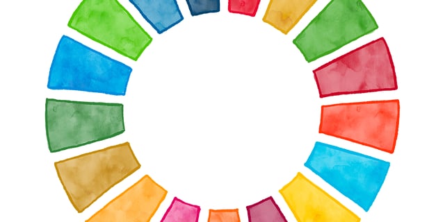 Sustainability Without the SDGs: US Policy Shifts and Corporate ESG