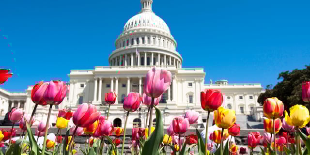 Biannual Trustee Policy Summit: Insight Summary (Spring 2025)