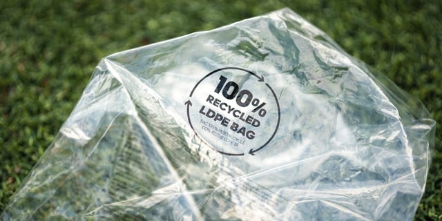 Biodegradable Packaging 2.0: Innovations Provide Business with Better Options