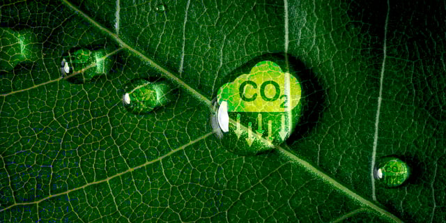 The Rise of China’s Product Carbon Footprint System: Implications for Business