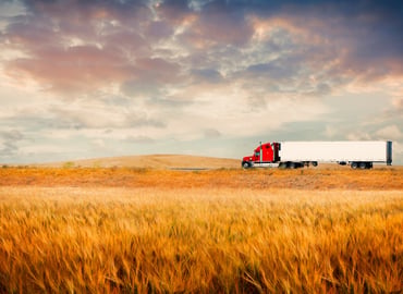 Out of Gas: How Diesel Prices Affect Business Conditions