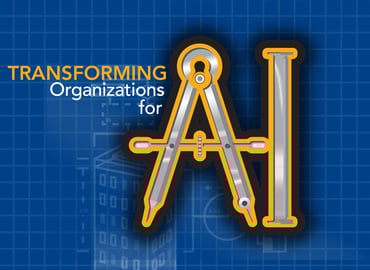 Transforming Organizations for AI