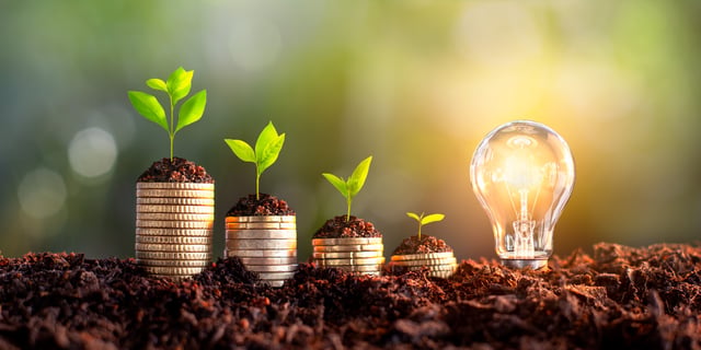 AI and Sustainability: Managing the Opportunity and the Footprint