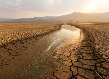 El Niño’s Global Reach: The Business Impact of Extreme Weather