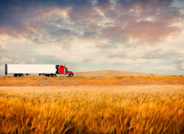 El Niño Reshapes Global Agricultural Markets