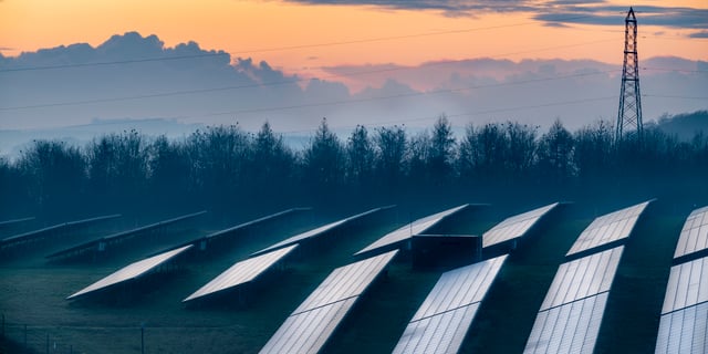 More Public Companies Are Using Carbon Offsets to Meet ESG Goals