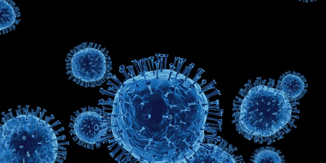 Despite the resurgence of COVID-19 cases in Europe, CEOs look ahead with cautious optimism: 2020 H2 results