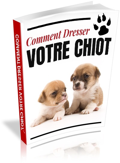 Comment Dresser Votre Chiot
