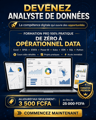 🚀 De Zéro à Opérationnel Data — Formation 100% Pratique (Excel • Power BI • SPSS • STATA • Kobo/ODK • SQL • Python)