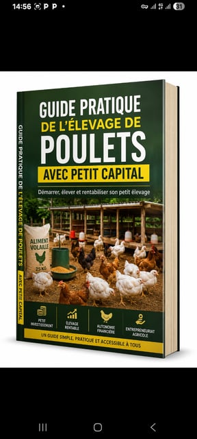 GUIDE PRATIQUE DE L’ELEVAGE DE POULETS AVEC PETIT CAPITAL