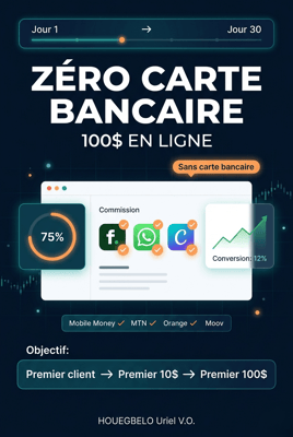 De 0 à 100$ en ligne : La méthode simple pour générer tes premiers revenus (même sans expérience, en Afrique ou ailleurs)