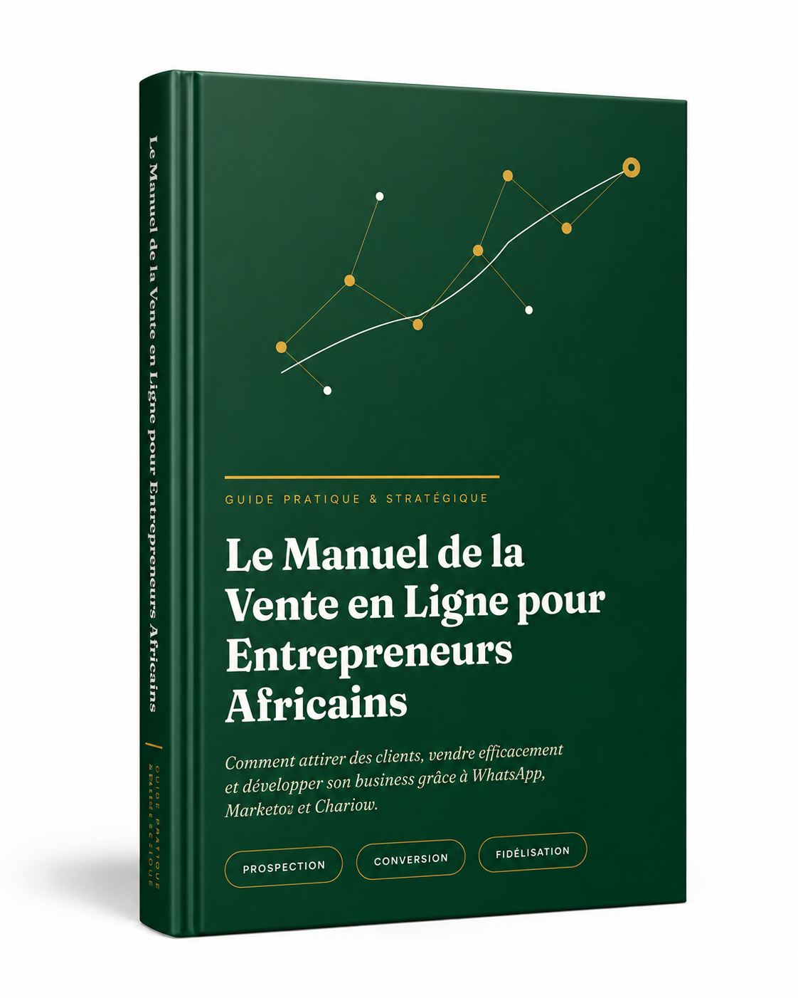 Le Manuel de la Vente en Ligne pour Entrepreneurs Africains