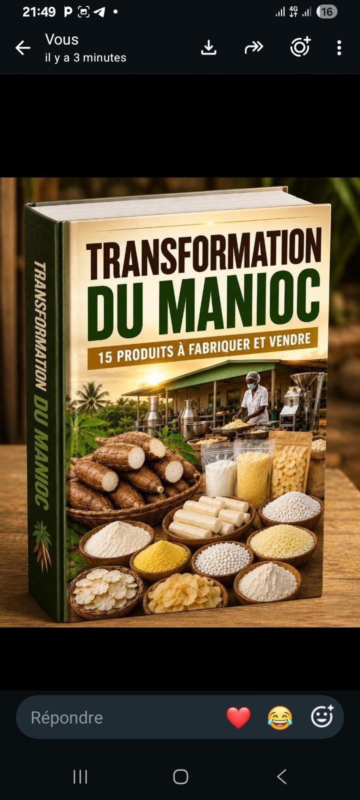 TRANSFORMATION DU MANIOC  : 15 PRODUITS À FABRIQUER ET VENDRE