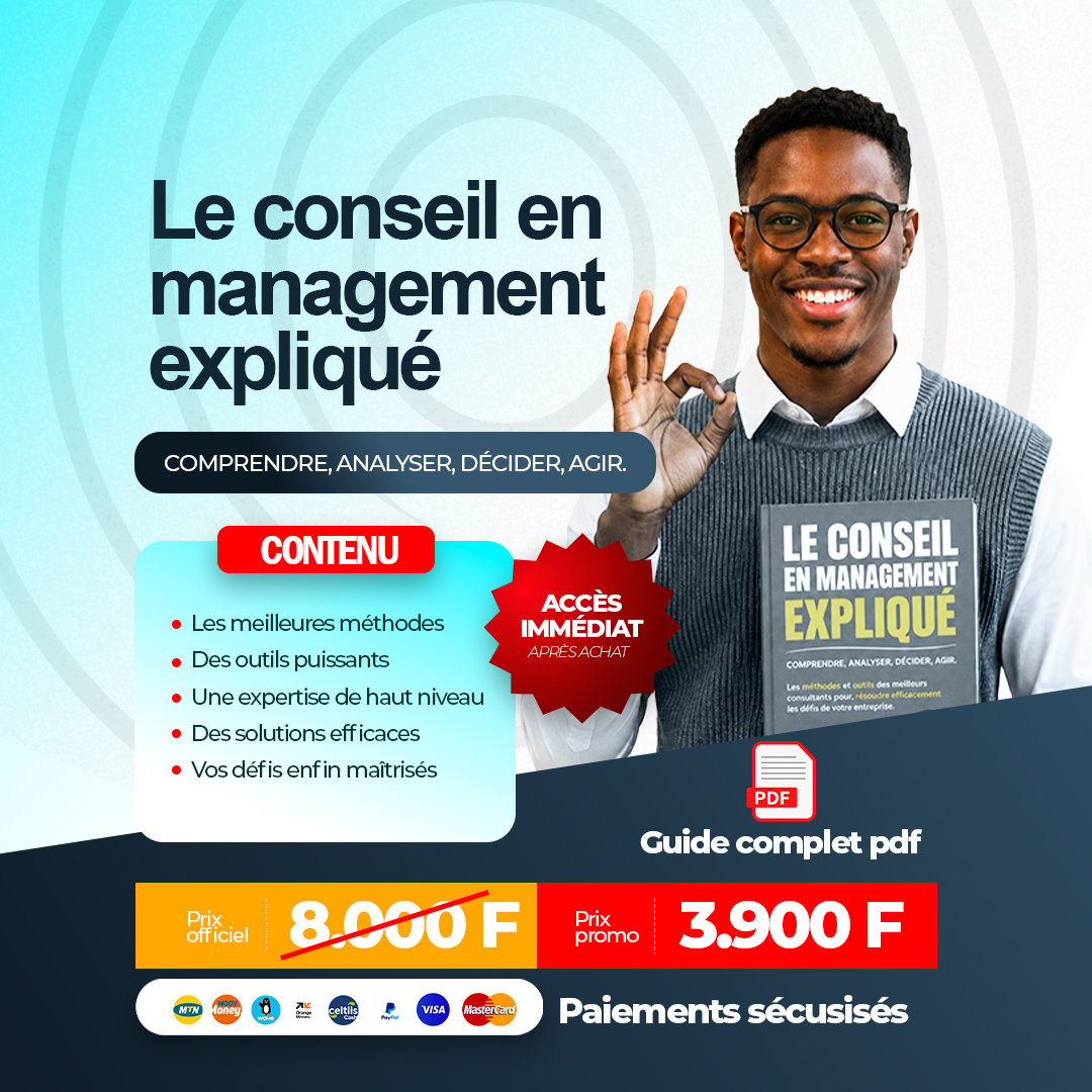 LE CONSEIL EN MANAGEMENT EXPLIQUË