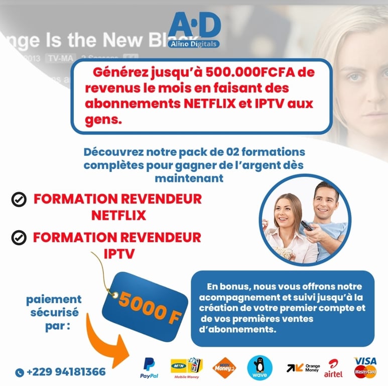 PACK DE DEUX FORMATIONS REVENDEURS NETFLIX ET IPTV