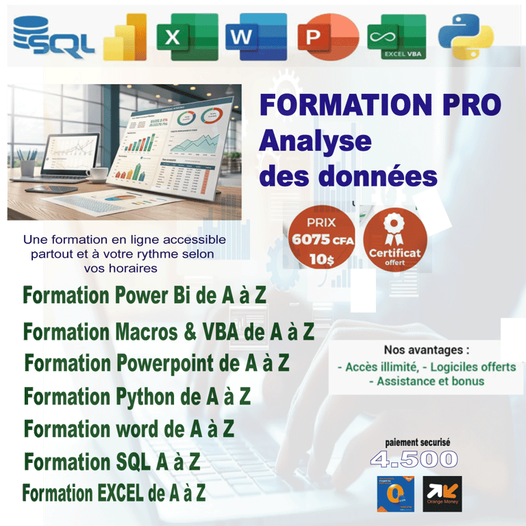 FORMATION PRO ANALYSES DES DONNEES