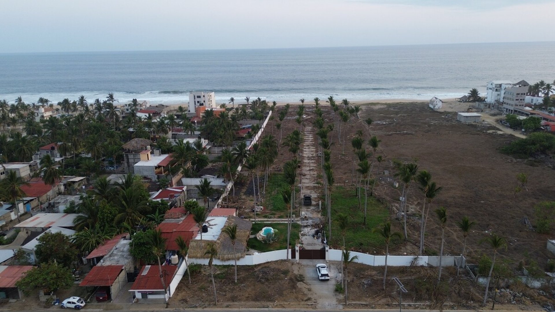 Vista aérea de terreno amplio con palmeras alineadas frente al mar en Pie de la Cuesta, Acapulco
