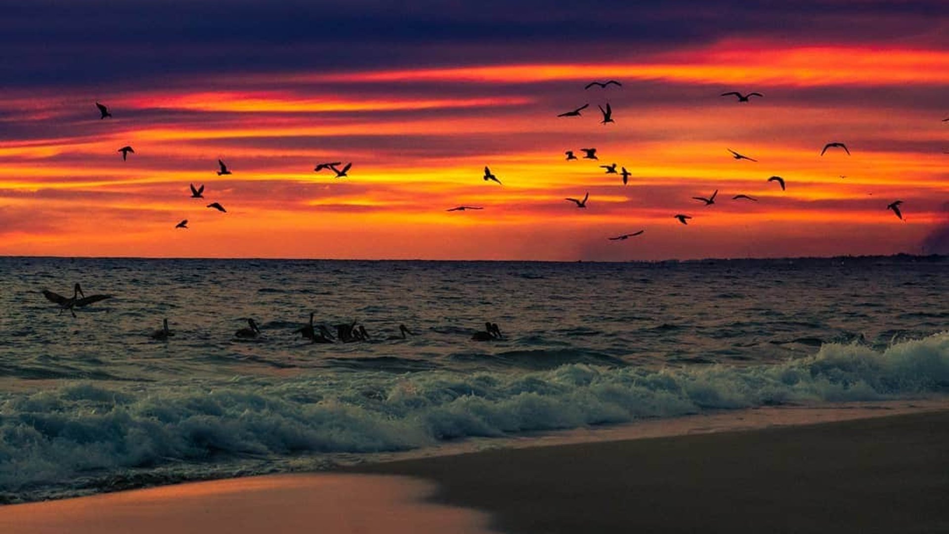 Atardecer intenso sobre el Pacífico con bandada de pelícanos sobrevolando las olas en la orilla