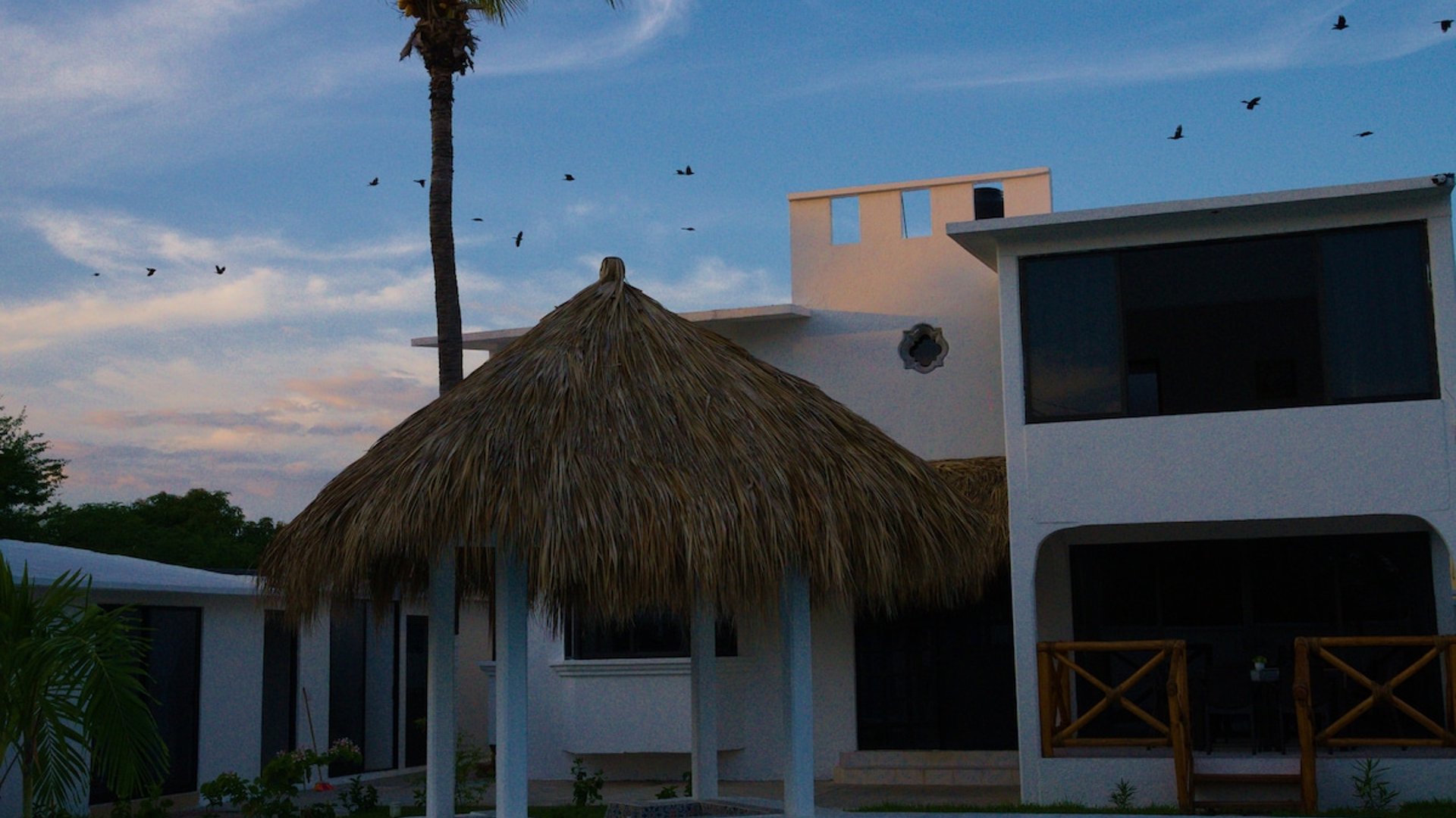 Alberca frente a palapa redonda y villa blanca de dos pisos al atardecer, con palmera y bandada de aves en el cielo azul