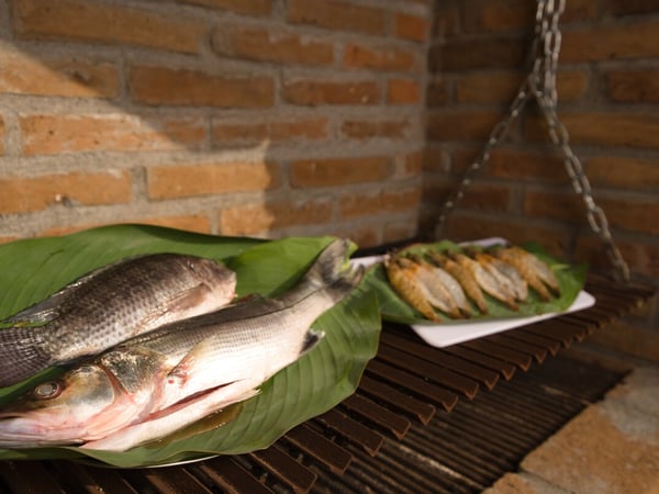 Pescados frescos sobre hojas de plátano listos para asar en parrilla de ladrillo artesanal