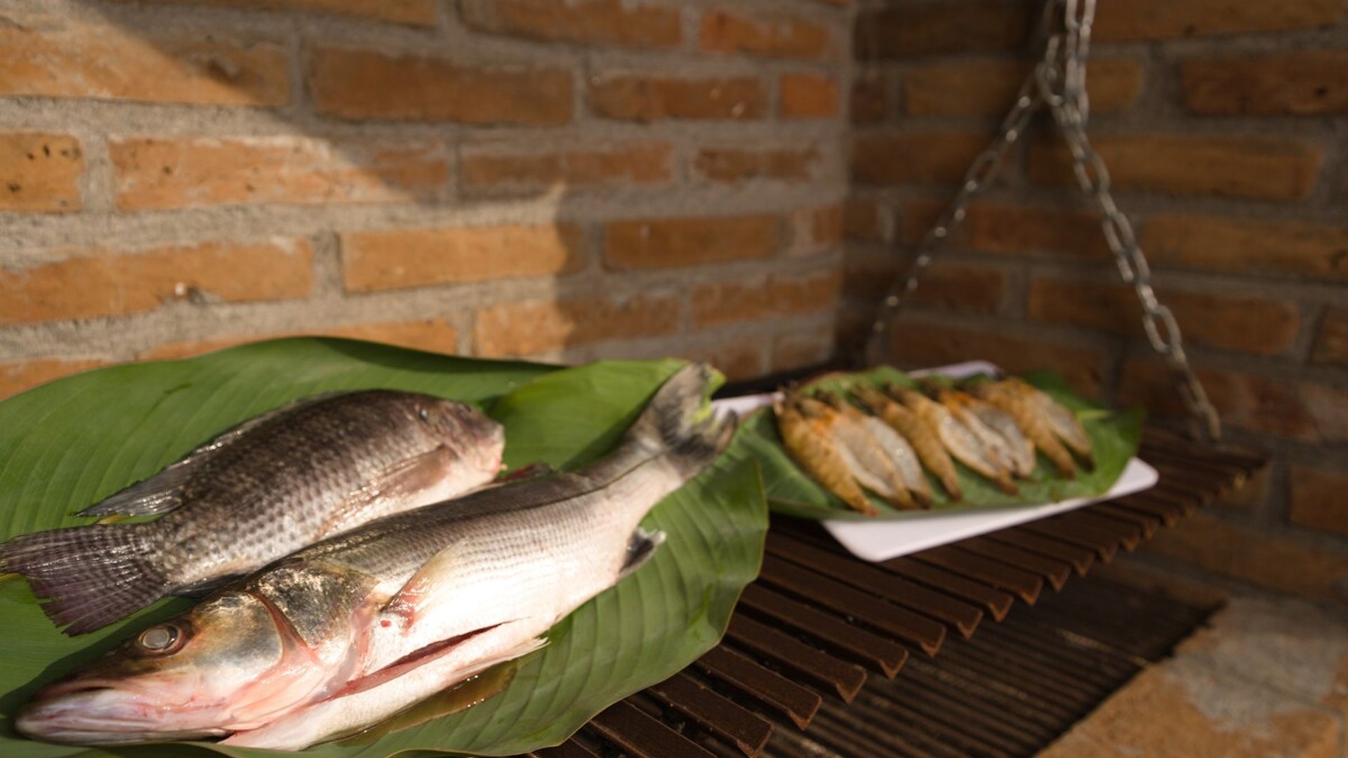 Pescados frescos sobre hojas de plátano listos para asar en parrilla de ladrillo artesanal